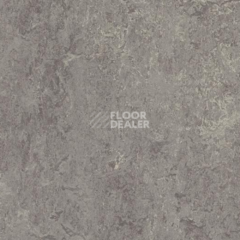 Линолеум Forbo Marmoleum Marbled Real 2629 Eiger фото 1 | FLOORDEALER